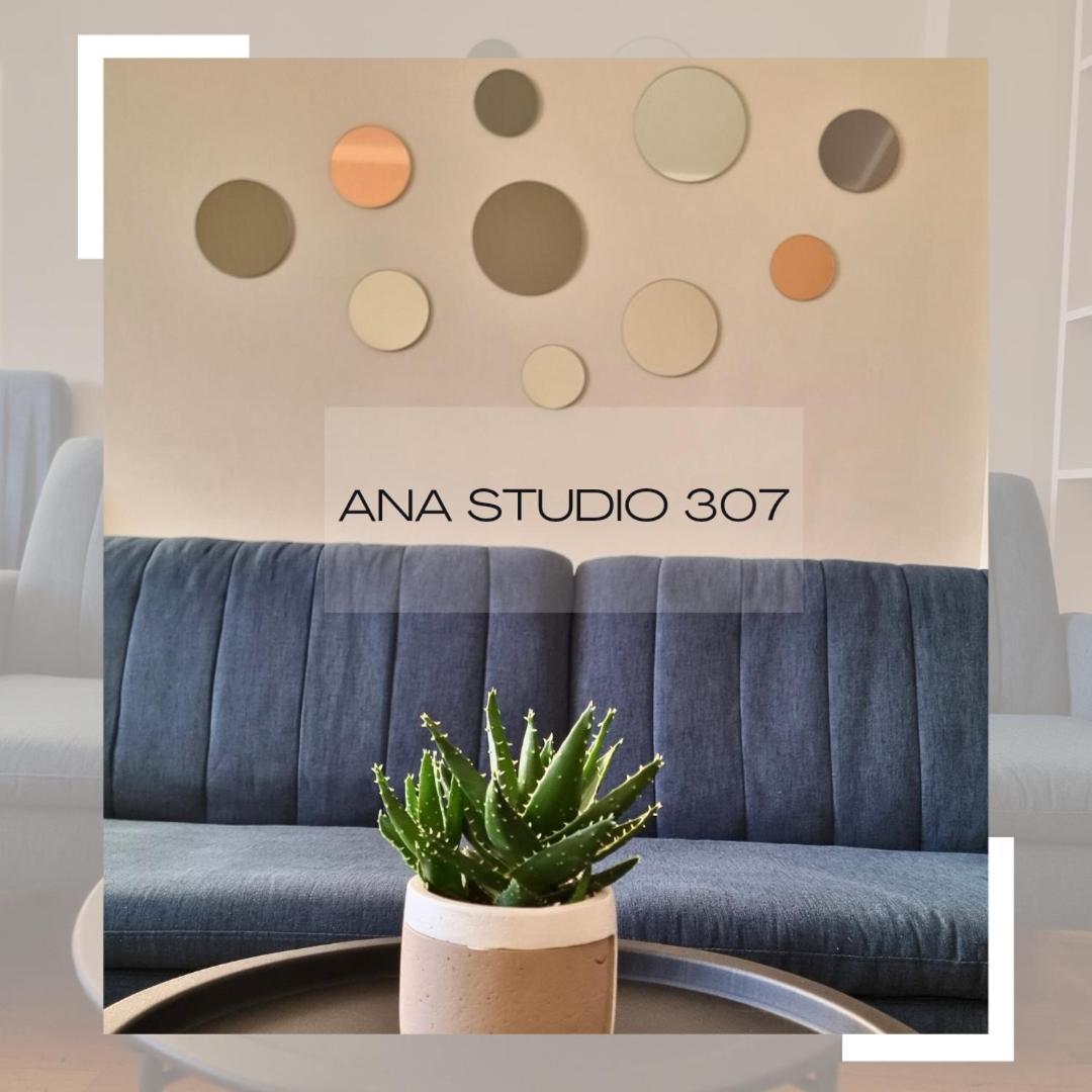 Ana Studio 307 Lejlighed Pristina Eksteriør billede